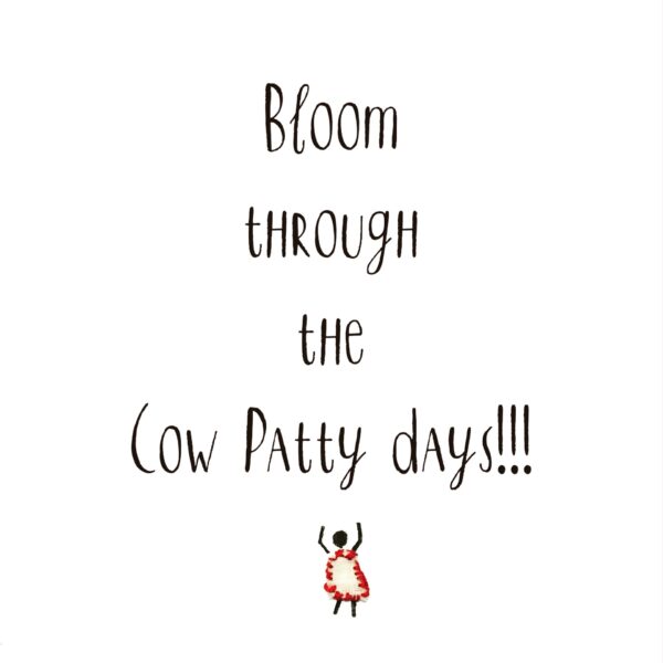 Josephine's Quote- Variety Pack Greeting Cards - Image 2