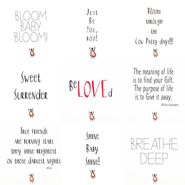 Josephine's Quote- Variety Pack Greeting Cards