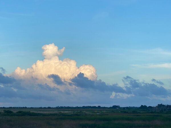 Grand Chenier - Image 3