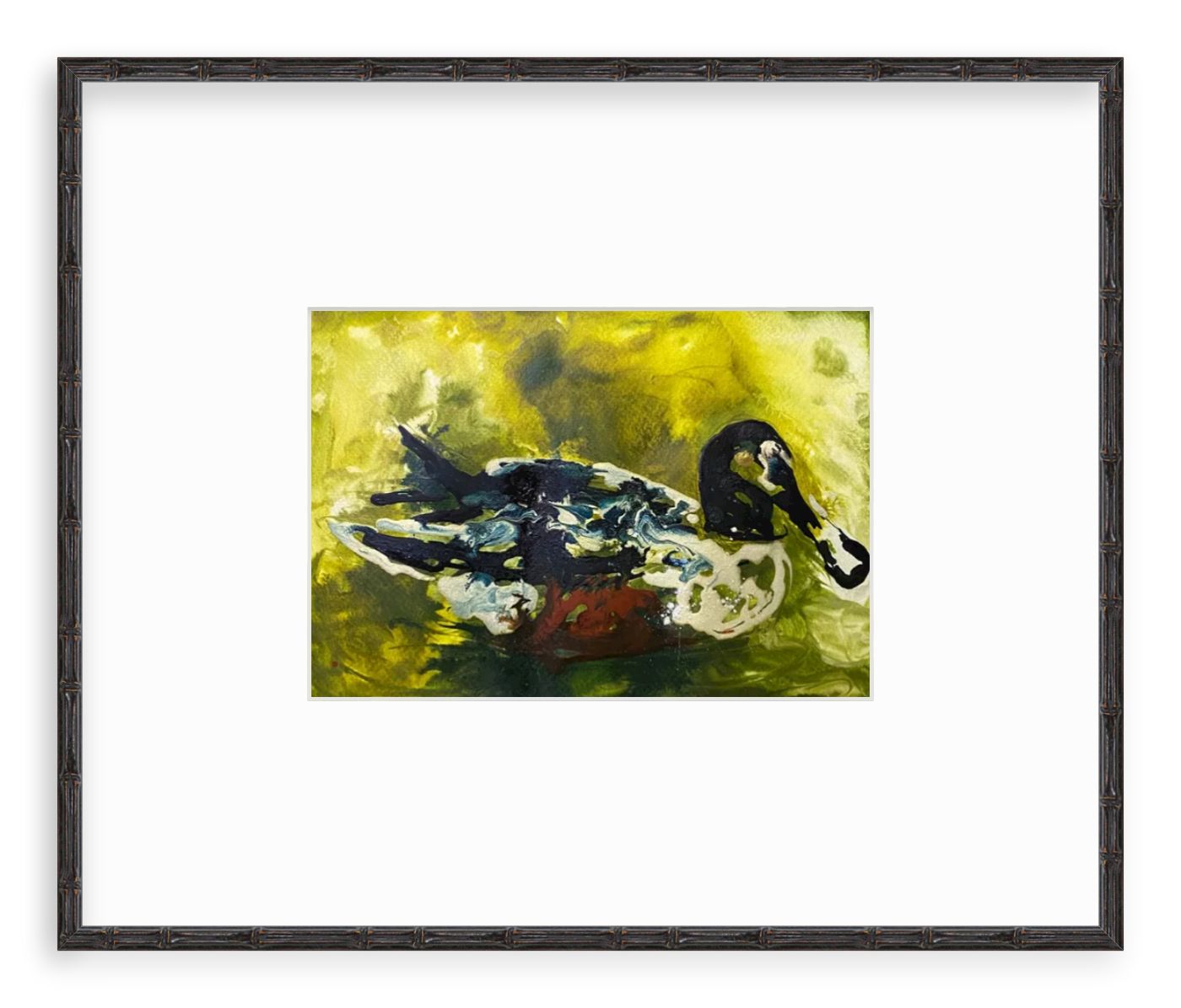 Mr. Manchec- Northern Shoveler - Image 5