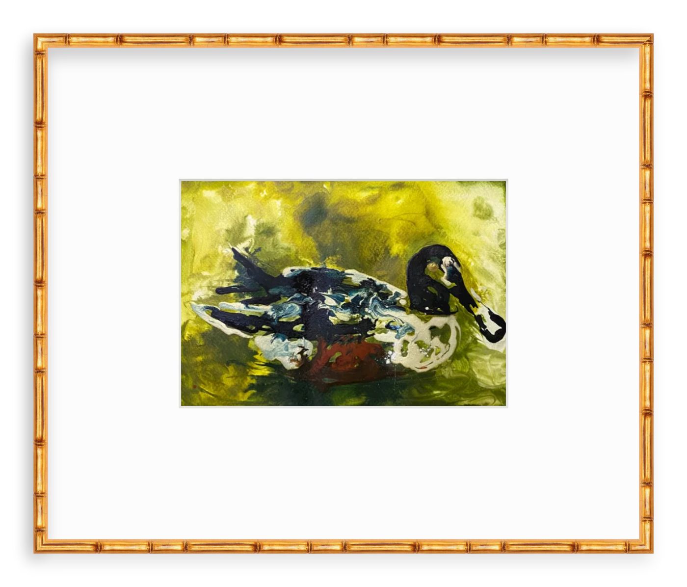 Mr. Manchec- Northern Shoveler - Image 6