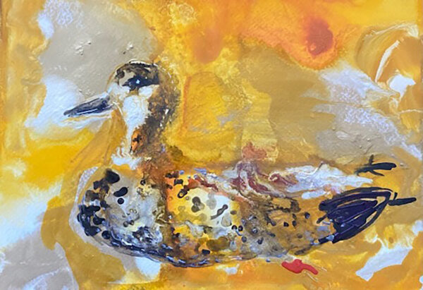 Mrs. Ophelia-  Gadwall Hen