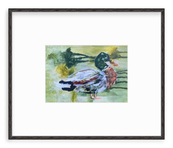 Mr Cocodrie-  Mallard Drake - Image 3