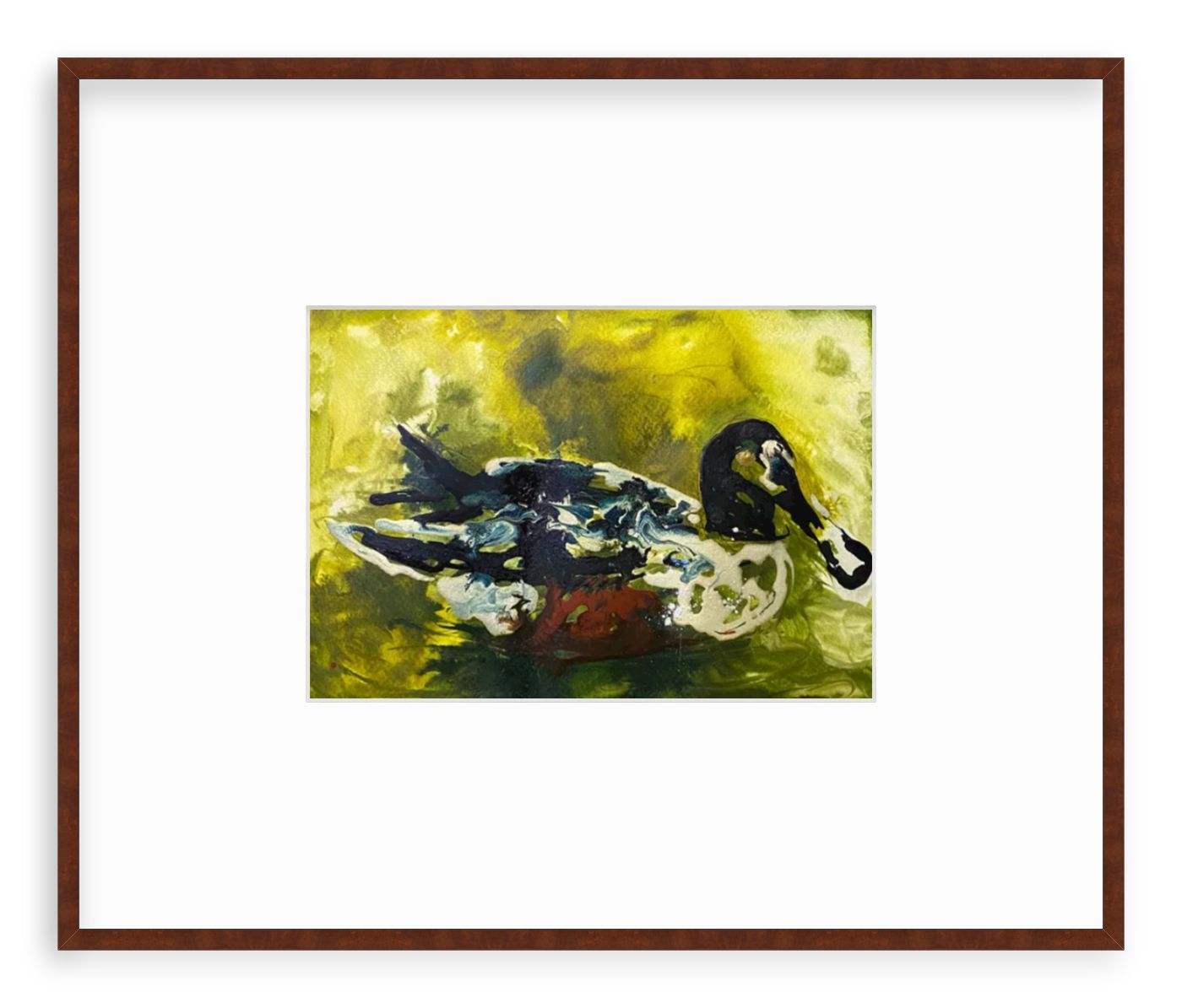 Mr. Manchec- Northern Shoveler - Image 7