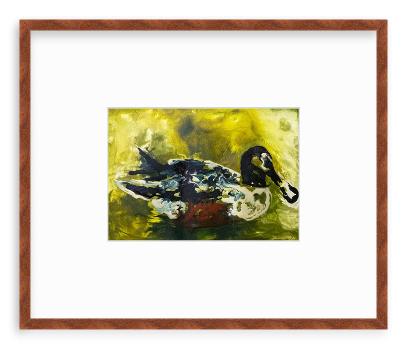 Mr. Manchec- Northern Shoveler - Image 8